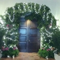 Hedge Arch in Naples, Marco Island, Ft. Myers