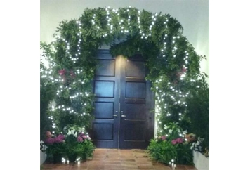 Hedge Arch in Naples, Marco Island, Ft. Myers