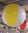 Beach Balls 4ft in Orlando