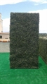 Hedge Green - Large in Orlando