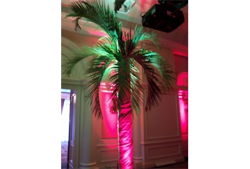 Palm Tree Faux 10ft in Orlando