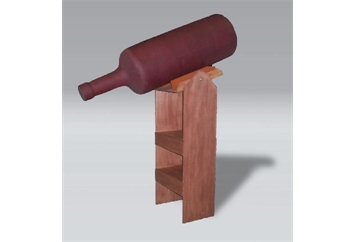 Wine Bottle and Rack in Orlando