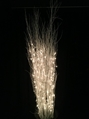 Birch Branches White w/lights - 4' in Tampa, St Petersburg