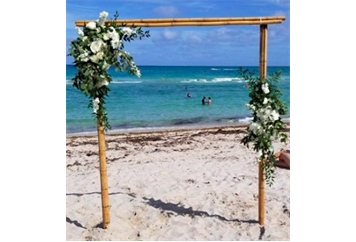 Arch - Bamboo in Miami, Ft. Lauderdale, Palm Beach