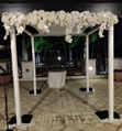 Arbor - White Wood in Orlando