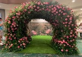 Hedge Arch - 9ft in Orlando
