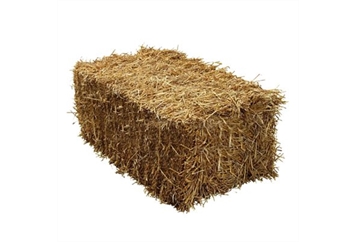 Hay Bale in Tampa, St Petersburg