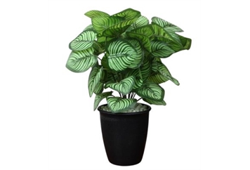 Faux Silk Plant - 4ft in Naples, Marco Island, Ft. Myers