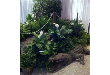 Footbridge with Foliage in Tampa, St Petersburg