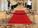 Red Carpet Runner - 20ft in Miami, Ft. Lauderdale, Palm Beach