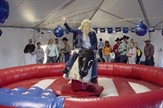 Mechanical Bull in Naples, Marco Island, Ft. Myers