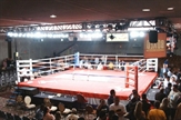 Boxing - Full Size Ring in Orlando