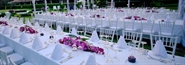 Chiavari Dining Chair White in Miami, Ft. Lauderdale, Palm Beach