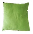 Pillow Lime in Miami, Ft. Lauderdale, Palm Beach