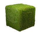 Grass Cube in Miami, Ft. Lauderdale, Palm Beach