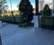 Mini Hedge Wall - Black Base in Miami, Ft. Lauderdale, Palm Beach