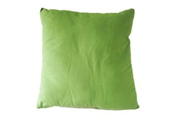 Pillow Lime in Naples, Marco Island, Ft. Myers
