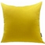 Lemonade Pillow in Orlando