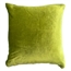 Pillow Green Moss Velvet in Orlando