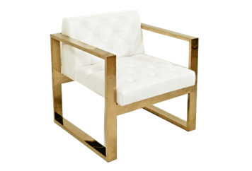 Romeo Chair in Tampa, St Petersburg