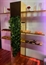 Alpha Bar Back Gold - 4 Shelves in Tampa, St Petersburg