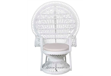 Peacock Chair - White in Miami, Ft. Lauderdale, Palm Beach