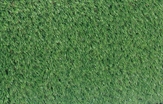 Solid Rug Grass in Miami, Ft. Lauderdale, Palm Beach