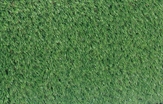 Solid Rug Grass in Orlando