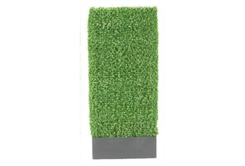 Hedge Green in Tampa, St Petersburg