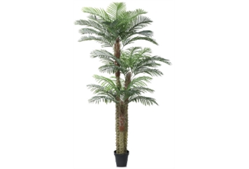 Surf Palmetto Faux in Orlando