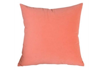 Pillow - Peach Velvet in Orlando