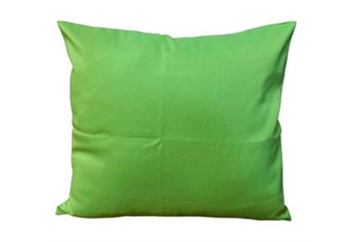 Pillow Lime Large in Orlando