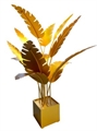 Oasis Palm - Gold in Orlando