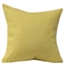 Lemonade Pillow in Orlando