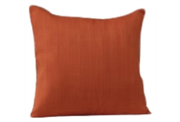 Pillow - Orange in Orlando