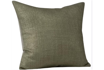 Pillow - Bronze in Orlando