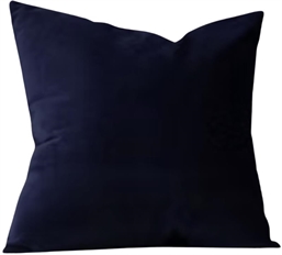 Pillow Navy in Tampa, St Petersburg