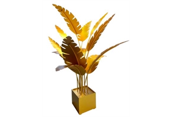Oasis Palm - Gold in Tampa, St Petersburg