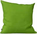 Pillow - Avocado in Naples, Marco Island, Ft. Myers
