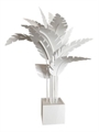 Oasis Palm - White in Naples, Marco Island, Ft. Myers