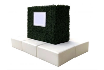 Island Banquette Hedge in Orlando