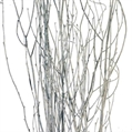 Birch Branches White - 8' in Naples, Marco Island, Ft. Myers