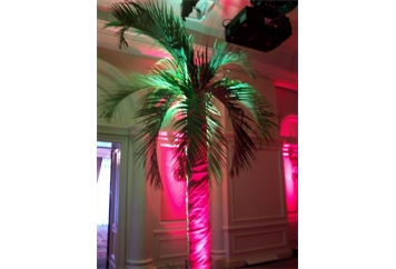 Palm Tree Faux 10ft in Naples, Marco Island, Ft. Myers