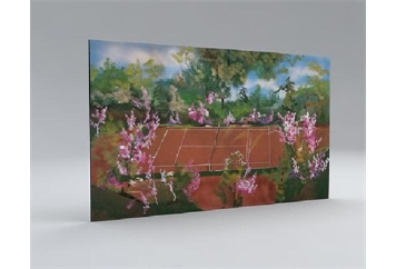 Tennis Court Backdrop in Naples, Marco Island, Ft. Myers