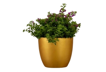 Gold Planter in Naples, Marco Island, Ft. Myers