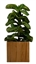 Legno Planter - Small in Tampa, St Petersburg