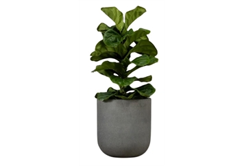 Bold Planter Gray - Small in Tampa, St Petersburg