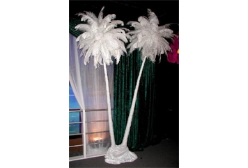Yucca Trees with Feather Plumes (Trees) in Orlando