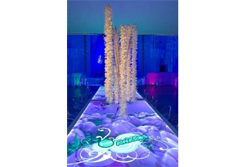 Acrylic Light Box Dining Table in Miami, Ft. Lauderdale, Palm Beach