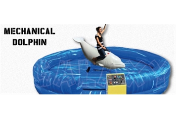 Mechanical Dolphin (Interactive Games) in Orlando